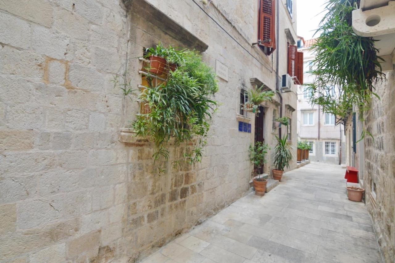Placeta &